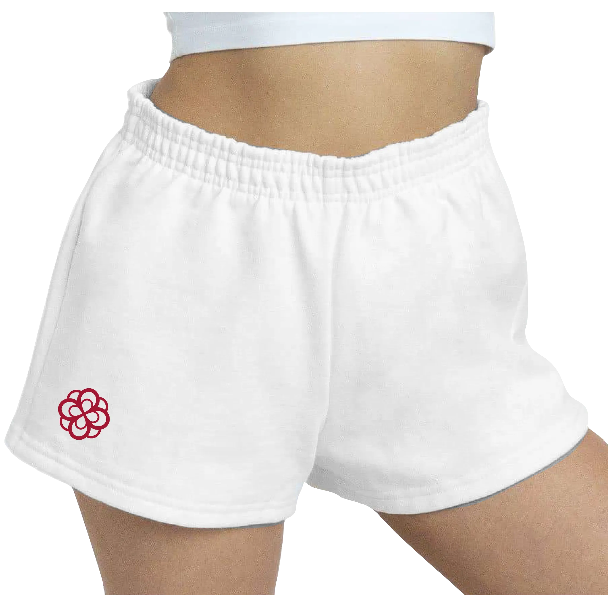 B-Greek - Back to School - Alpha Omicron Pi Symbol Shorts